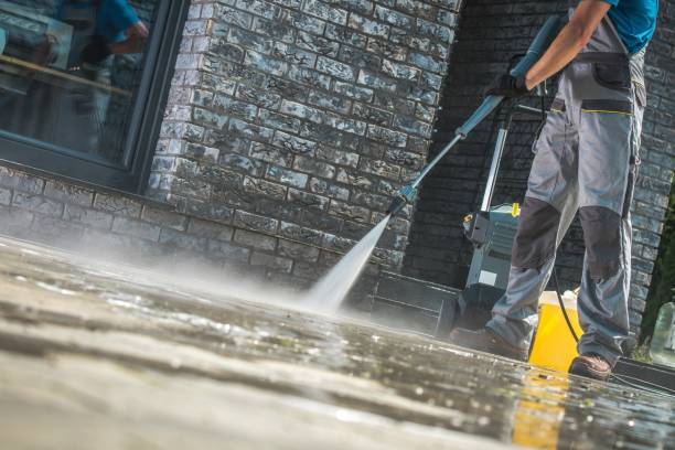 Best Graffiti Removal  in Birch Run, MI