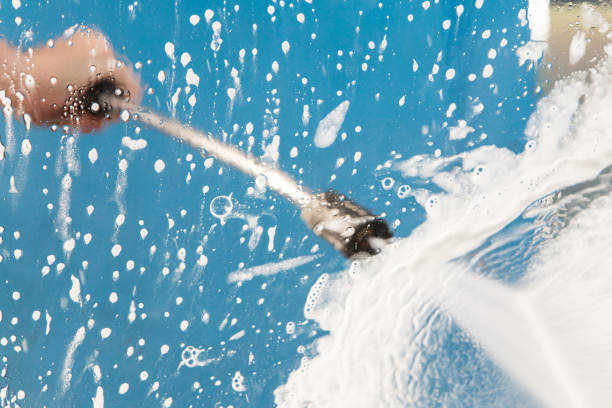 Best Restaurant Pressure Washing  in Birch Run, MI